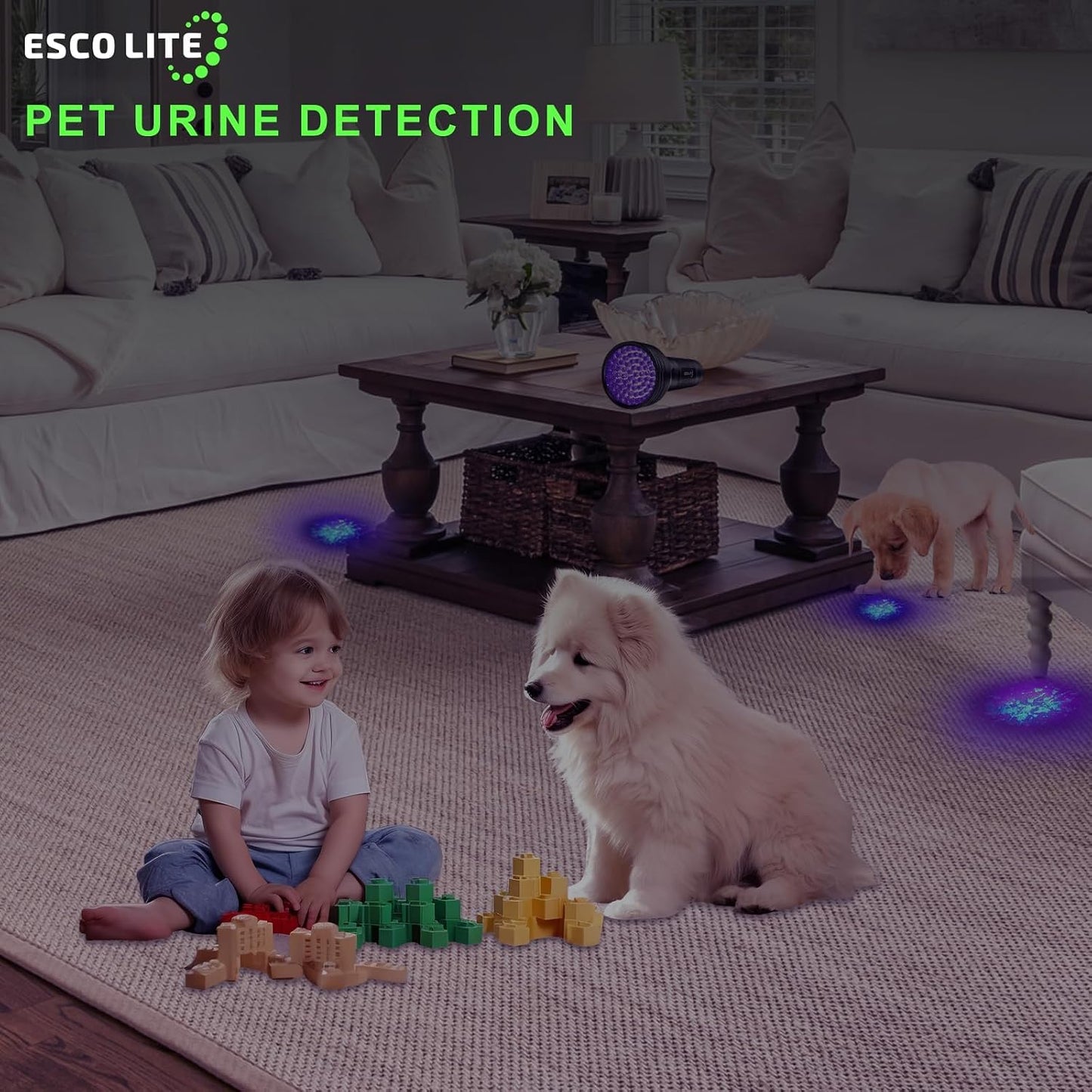 UV Flashlights Black Light for Pet Urine Detection 51 LED Blacklight Flashlight for Dog Cat Stains, UV Light Flashlight for Resin, Carpet, Hotel, Bathroom with Battery