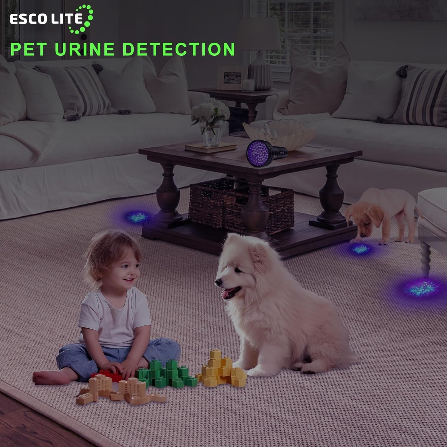 UV Flashlights Black Light for Pet Urine Detection 51 LED Blacklight Flashlight for Dog Cat Stains, UV Light Flashlight for Resin, Carpet, Hotel, Bathroom with Battery